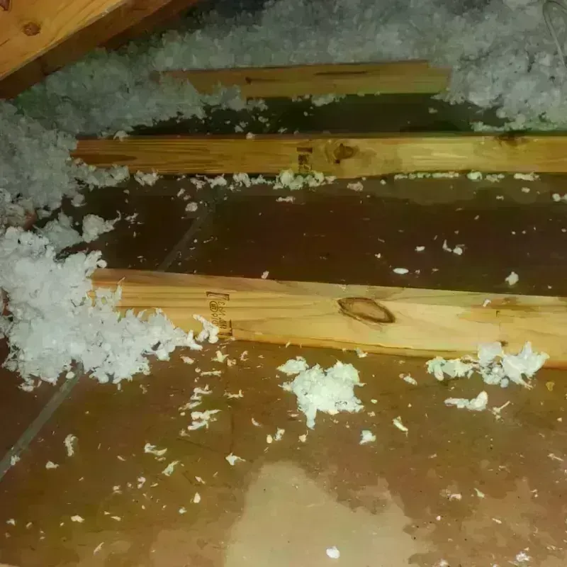 Attic Water Damage in Uniontown, PA